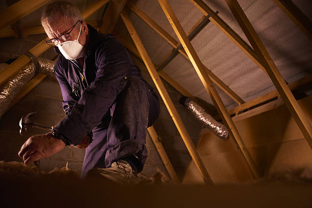 Best Insulation Maintenance and Repair in Sun Valley, ID